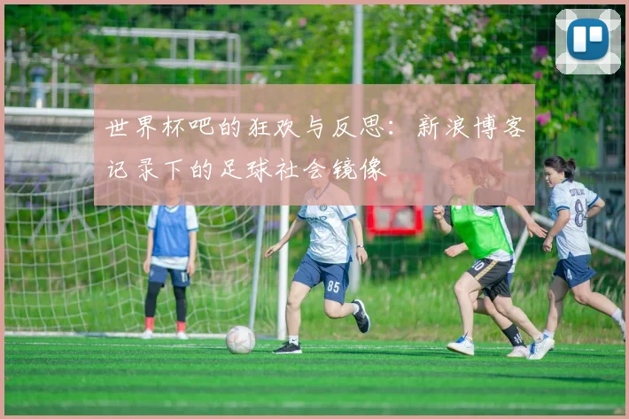 世界杯吧的狂欢与反思：新浪博客记录下的足球社会镜像