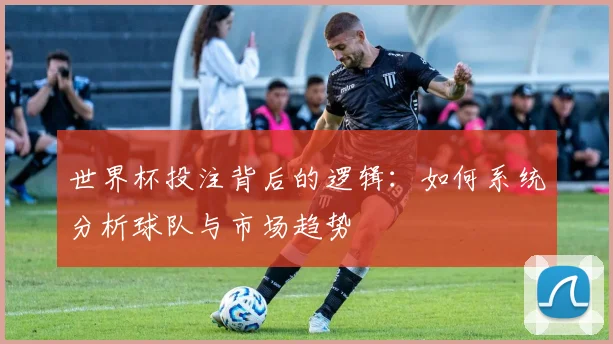 世界杯投注背后的逻辑:如何系统分析球队与市场趋势