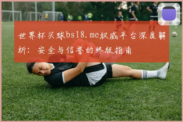 世界杯买球bs18.me权威平台深度解析：安全与信誉的终极指南