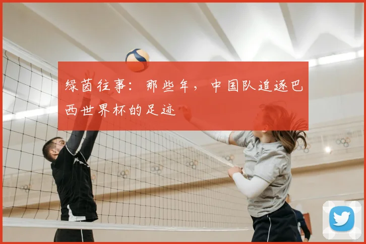 绿茵往事：那些年，中国队追逐巴西世界杯的足迹