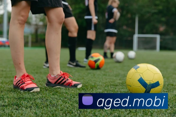 开云在线官网登录入口品牌故事